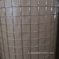 Galvanizzato Gabbia di uccelli saldati Mesh saldato zincato